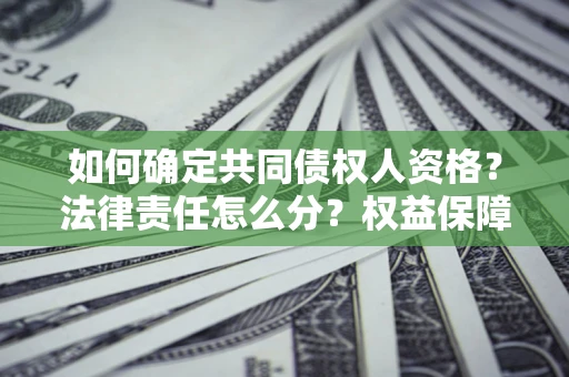 北京如何确定共同债权人资格？法律责任怎么分？权益保障技巧揭秘！