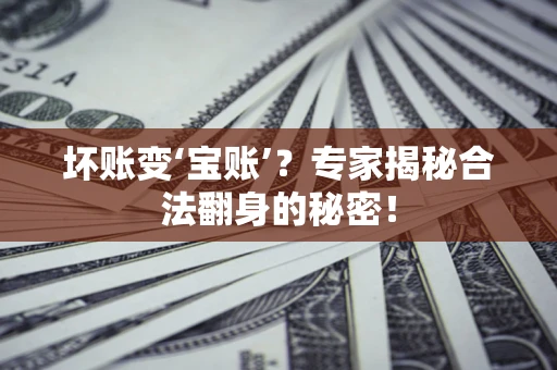 北京坏账变‘宝账’？专家揭秘合法翻身的秘密！